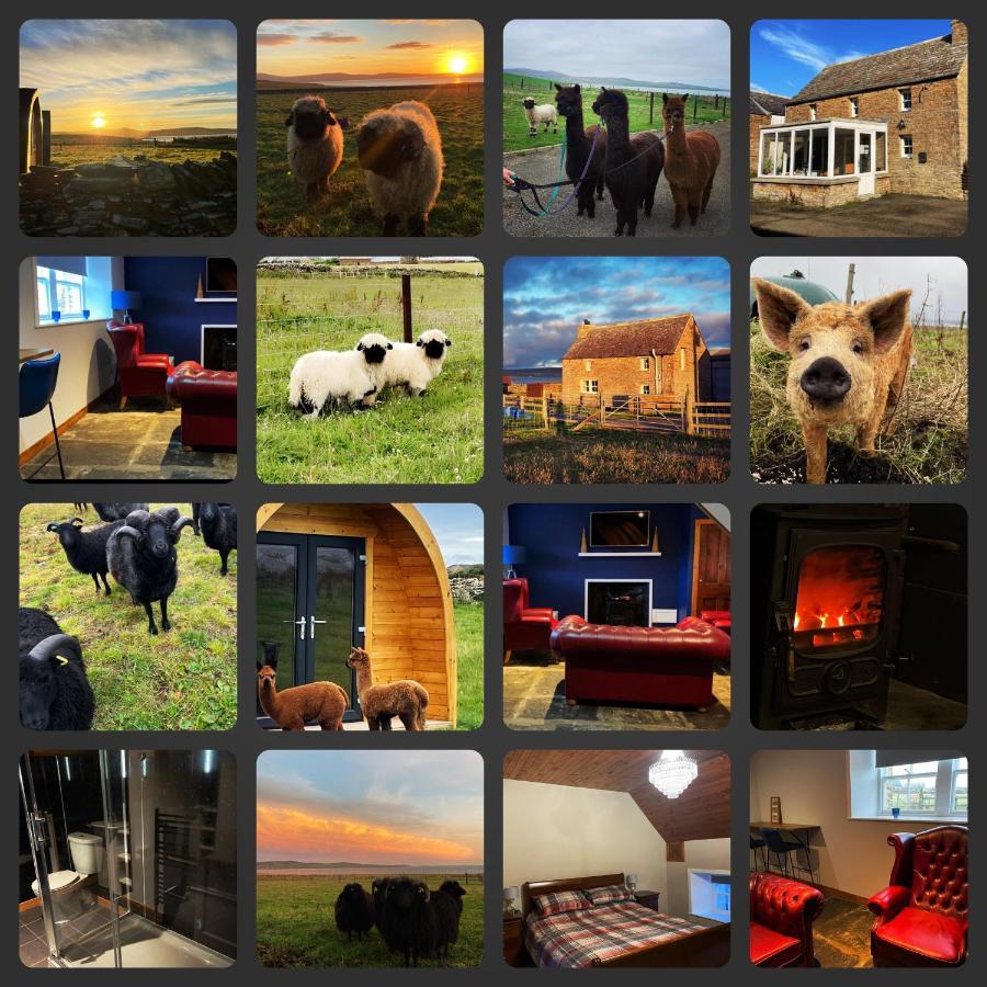 Orkney Farm Bothy Villa Stromness Kültér fotó
